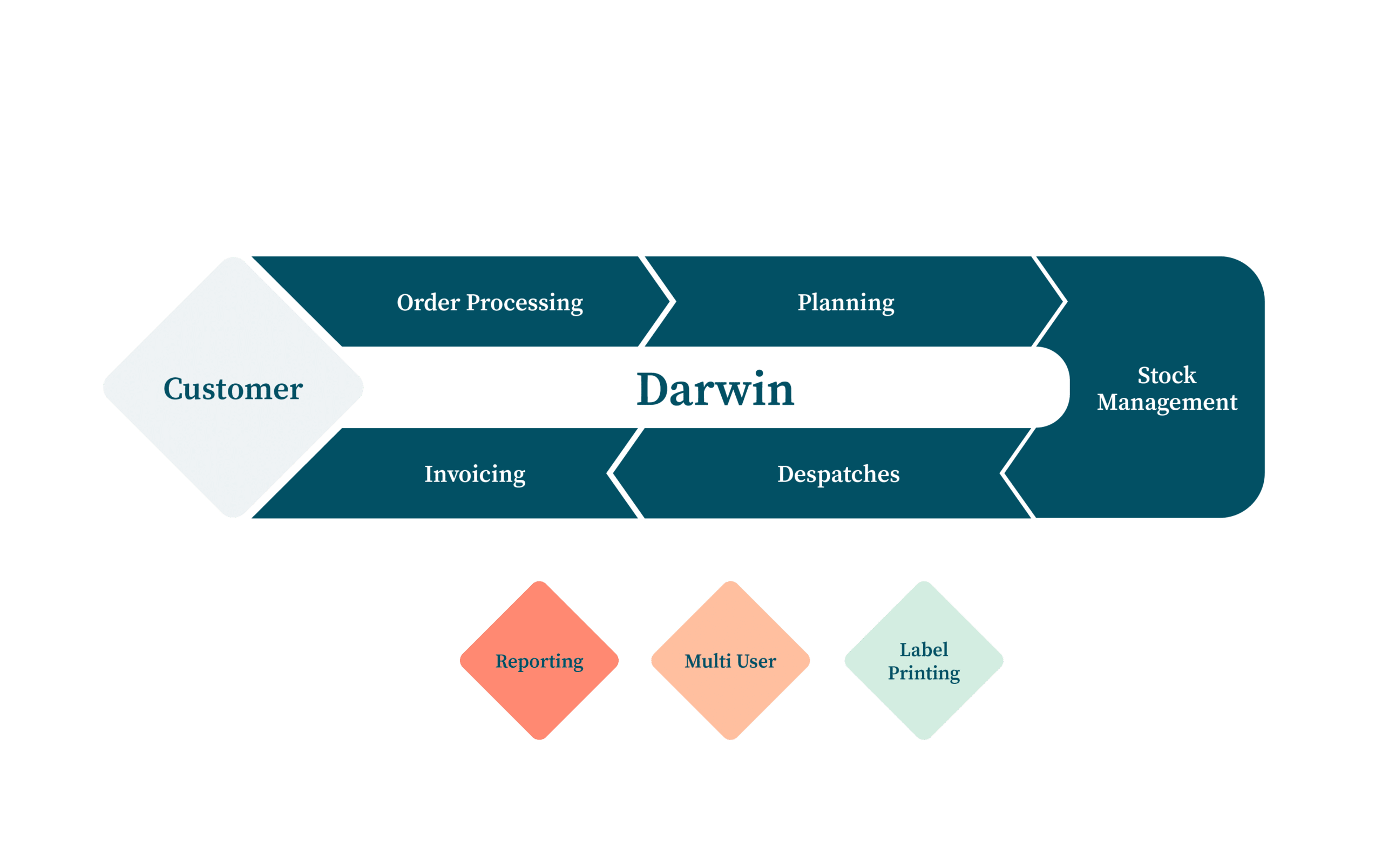 darwin-diagramm-2021